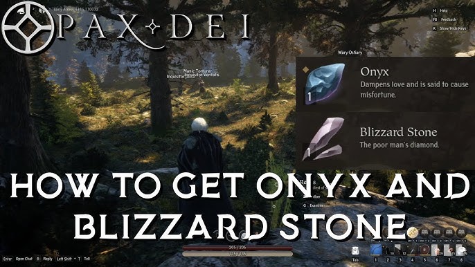 Why is everyone talking about blizzard stone pax dei? Understand its importance and impact.