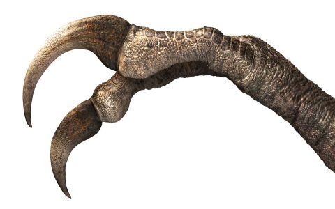 Want to know about two handed weapon types -sword? Here are great examples that are not swords.